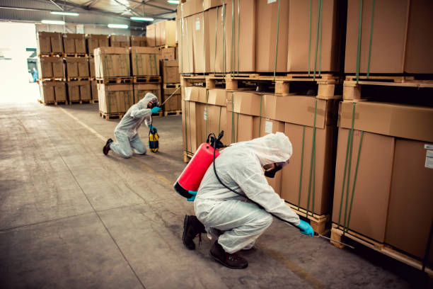 Best Pest Control Treatment  in Dana, NC