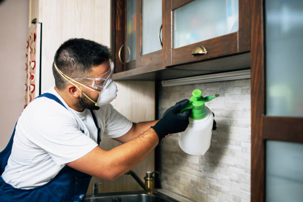 Best Exterminator Services  in Dana, NC