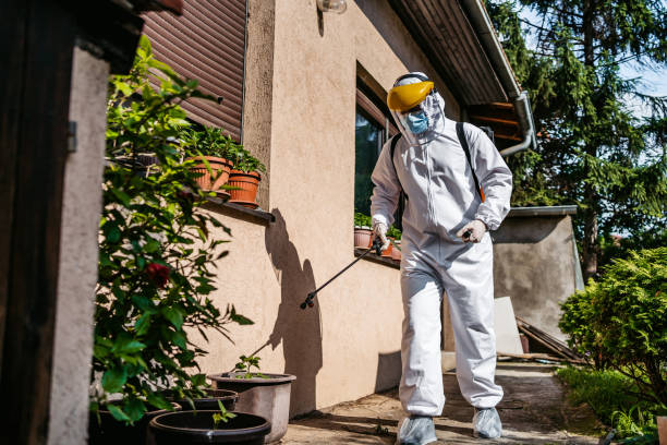 Professional Pest Control in Dana, NC