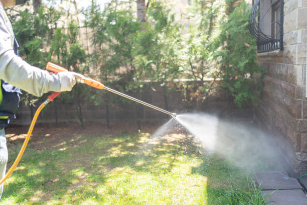 Best Best Pest Control Companies  in Dana, NC