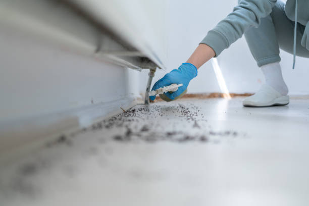 Best Exterminator Services  in Dana, NC